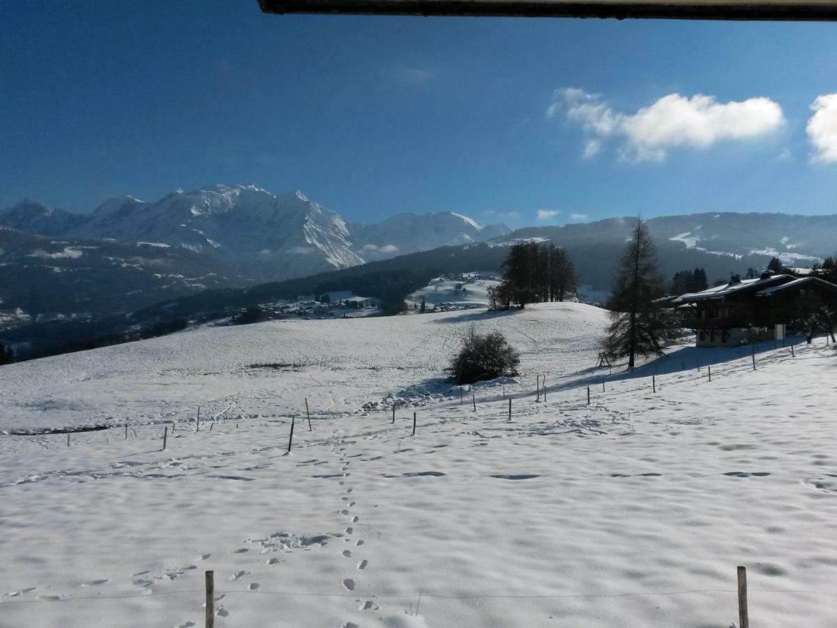 Rez De Chaussee Tres Calme Vue Mont-Blanc Combloux Exteriér fotografie